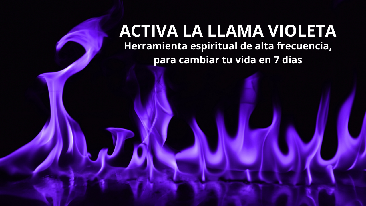 Curso Gastronomía